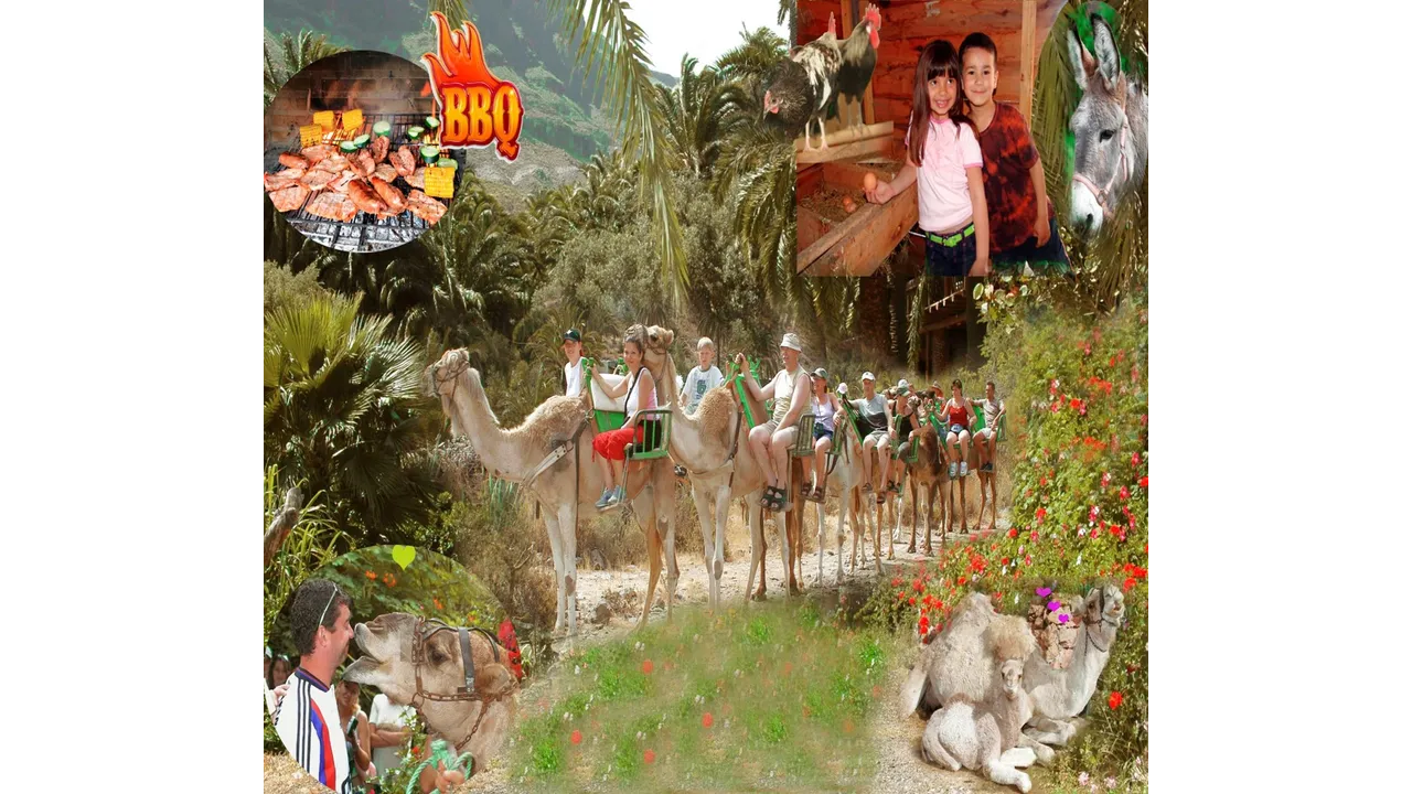Camel Safari La Baranda - From South & West