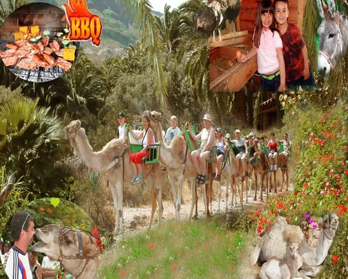 Camel Safari La Baranda - From South & West