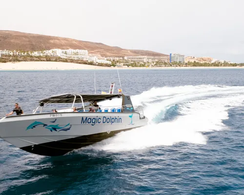 Speedboat "Magic Dolphin"