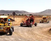 Buggy Tours - North