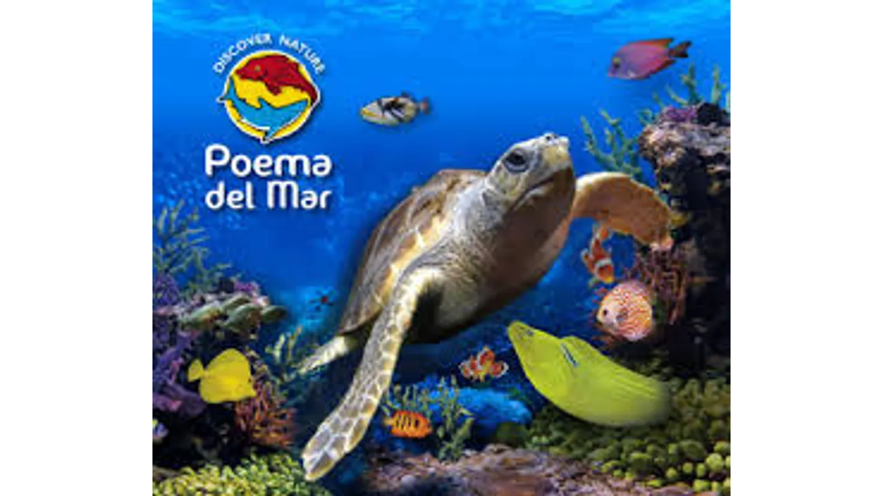 Poema del Mar - Aquarium - From South, West & Las Palmas
