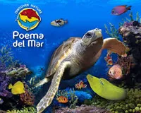 Poema del Mar - Aquarium - From South, West & Las Palmas