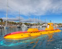 Submarine safaris 