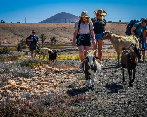 Hiking Tour "Goat Experience"