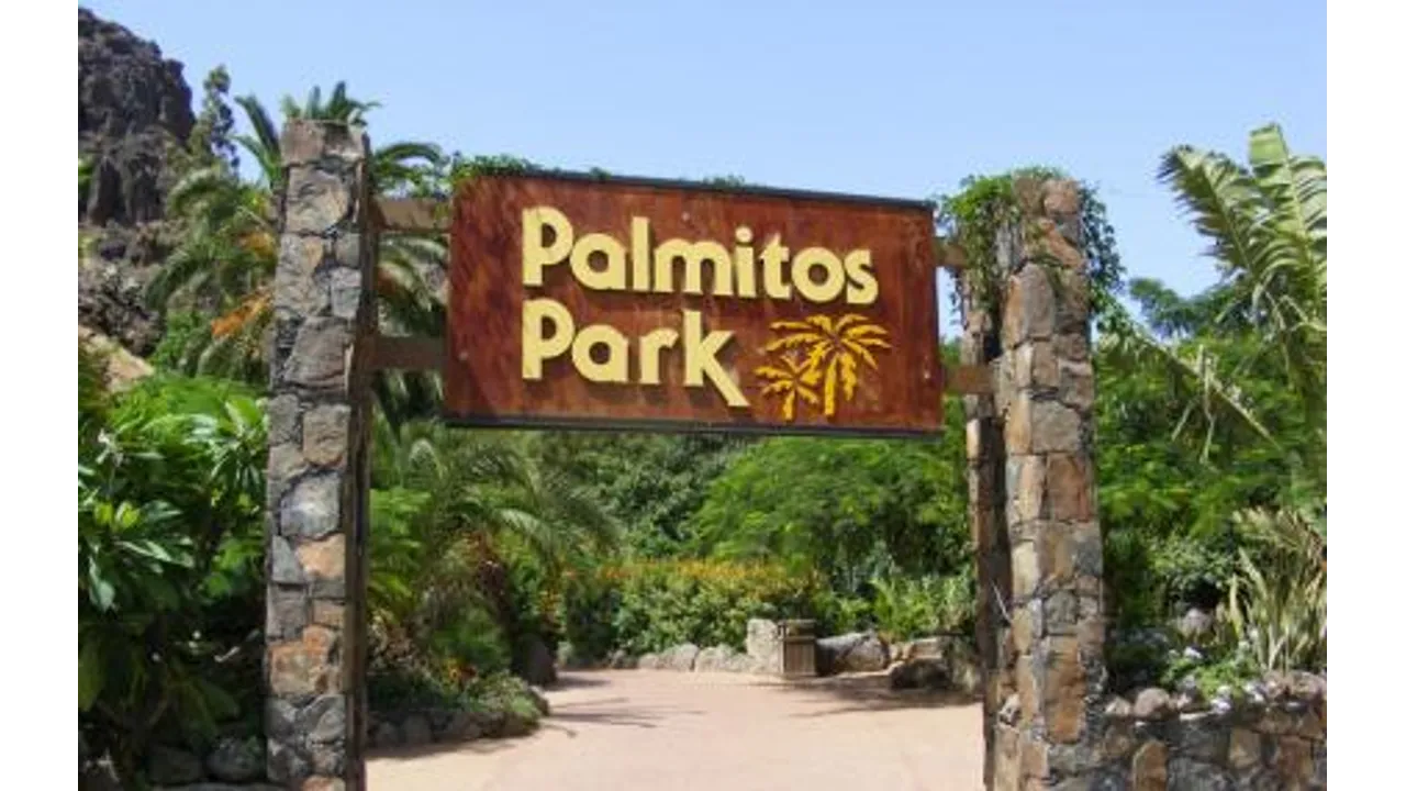 Palmitos Park - From South, West & Las Palmas