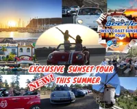 VW Beatle Cabrio Sunset Tour - From South